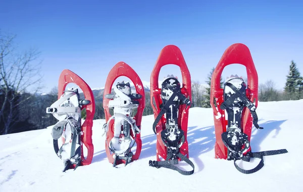 Caminhadas de inverno.Caminhadas de inverno nas montanhas em sapatos de neve com mochila e tenda . — Fotografia de Stock