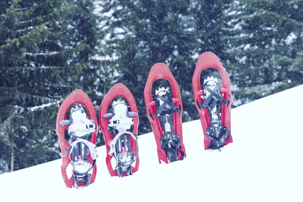 Senderismo de invierno en las montañas en raquetas de nieve con una mochila y tienda de campaña . —  Fotos de Stock