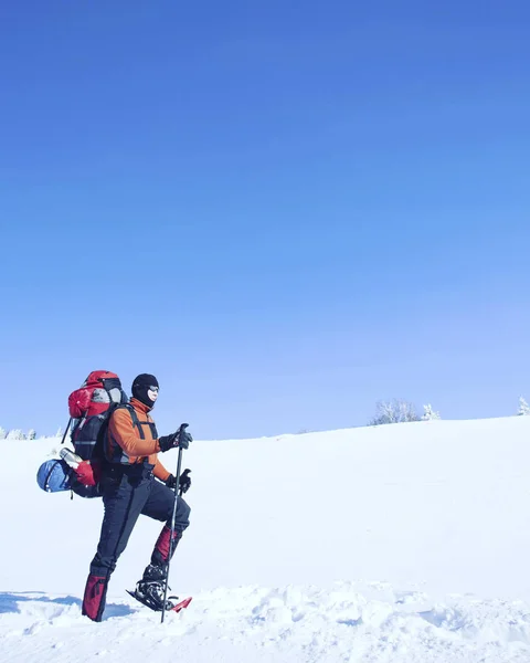 Winter hiking.Winter hiking in the mountains on snowshoes with a backpack and tent.