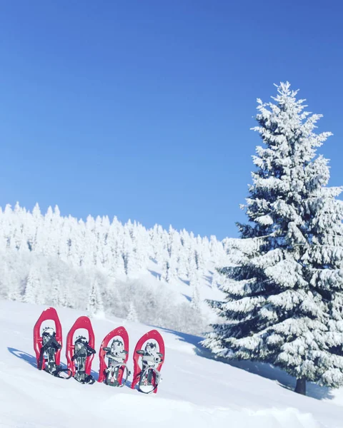 Caminhadas de inverno.Caminhadas de inverno nas montanhas em sapatos de neve com mochila e tenda . — Fotografia de Stock