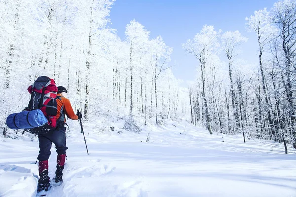 Senderismo de invierno en las montañas en raquetas de nieve con una mochila y tienda de campaña . — Foto de Stock