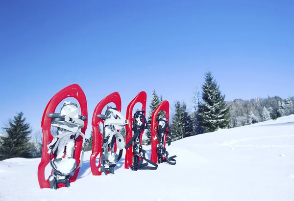 Winter hiking.Winter hiking in the mountains on snowshoes with a backpack and tent.