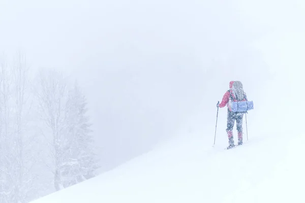 Зимові походи. Зимові походи в гори на снігоступах з рюкзаком і наметом . — стокове фото