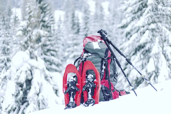 Winterwandelingen. Winter in de bergen te wandelen op sneeuwschoenen met een rugzak en tent. — Stockfoto