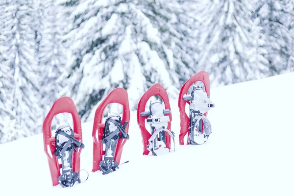 Caminhadas de inverno.Caminhadas de inverno nas montanhas em sapatos de neve com mochila e tenda . — Fotografia de Stock