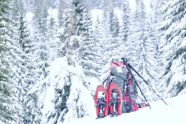 Winter hiking.Winter hiking in the mountains on snowshoes with a backpack and tent.