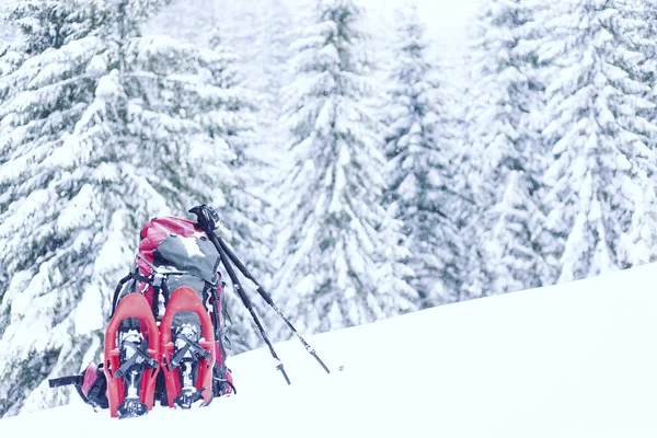 Senderismo de invierno en las montañas en raquetas de nieve con una mochila y tienda de campaña . —  Fotos de Stock
