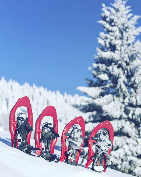 Caminhadas de inverno.Caminhadas de inverno nas montanhas em sapatos de neve com mochila e tenda . — Fotografia de Stock