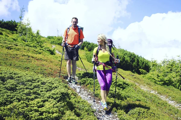 Senderismo de verano en las montañas con una mochila y tienda de campaña . — Foto de Stock