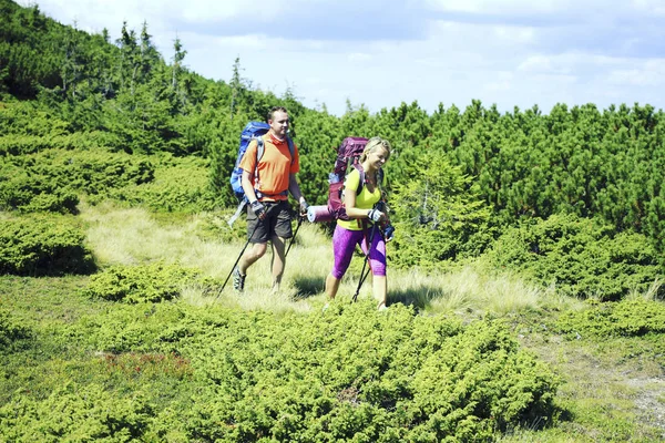 Senderismo de verano en las montañas con una mochila y tienda de campaña . — Foto de Stock