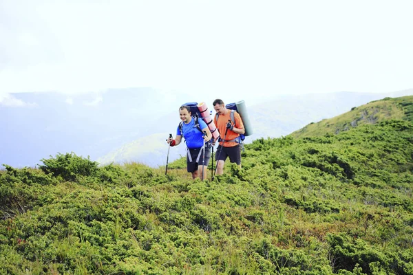 Senderismo de verano.Senderismo de verano en las montañas con una mochila y una tienda . — Foto de Stock