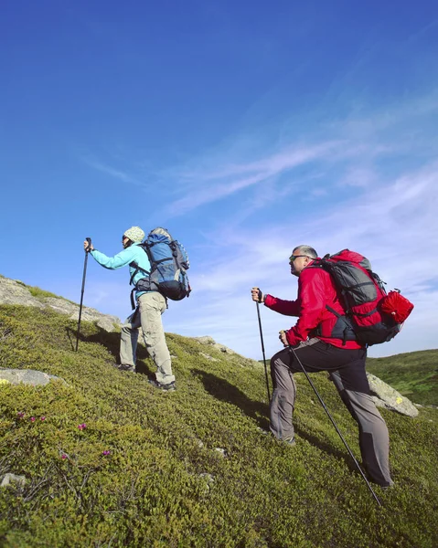 Zomer wandelen. Zomer van wandelen in de bergen met een rugzak en tent. — Stockfoto