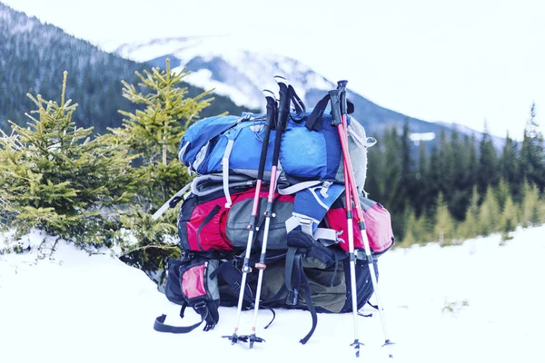 Senderismo de invierno en las montañas en raquetas de nieve con una mochila y —  Fotos de Stock