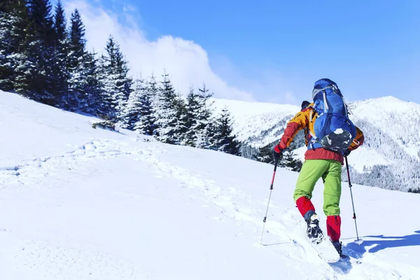 Senderismo de invierno en las montañas en raquetas de nieve con una mochila y — Foto de Stock