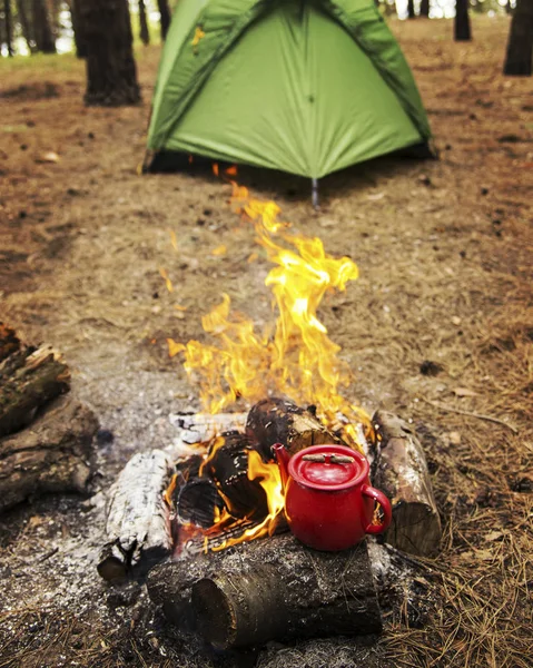 Camping w lesie. Przygotowanie śniadania na stosie. — Zdjęcie stockowe