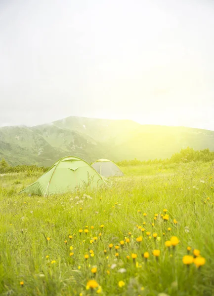 view of tourist tent on green meadow at sunrise or sunset. Campi