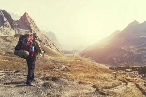 Vandrare med ryggsäckar når toppen av bergstopp. Succes — Stockfoto