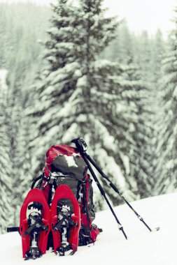 Kar ayakkabılarını dağcı bir sırt çantası taşımak. Mounta yolculuk