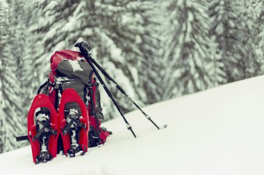 Kar ayakkabılarını dağcı bir sırt çantası taşımak. Mounta yolculuk