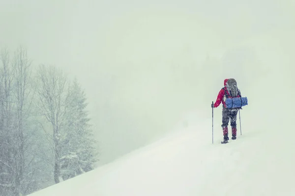Bergbeklimmer in sneeuwschoenen dragen een rugzak. Reis in de mounta — Stockfoto