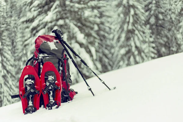 El montañista en raquetas de nieve lleva una mochila. Viaje en la montaña — Foto de Stock