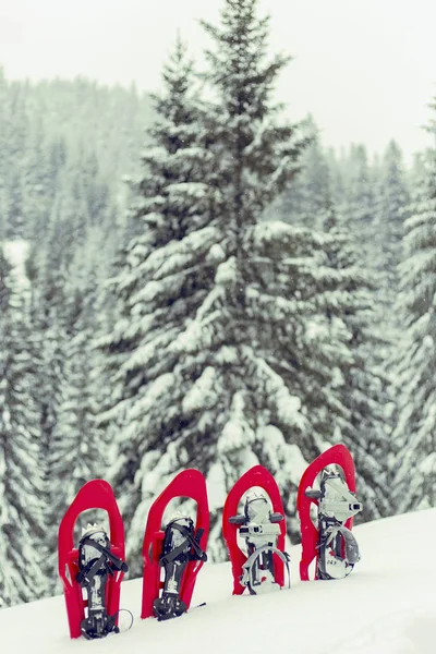 在雪中的登山背包。在金鼎山的旅程 — 图库照片