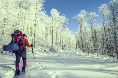 Bir sırt çantası ve çadır ile dağlarda kış yürüyüş.