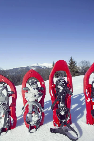 Cuatro raquetas de nieve rojas sobresalen en la nieve . —  Fotos de Stock