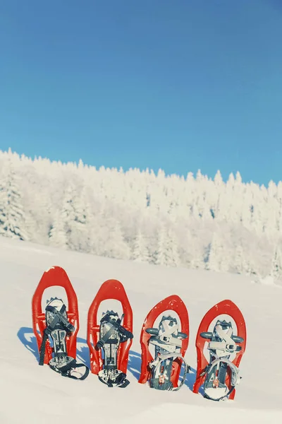 Quatro sapatos de neve vermelhos se destacam na neve . — Fotografia de Stock