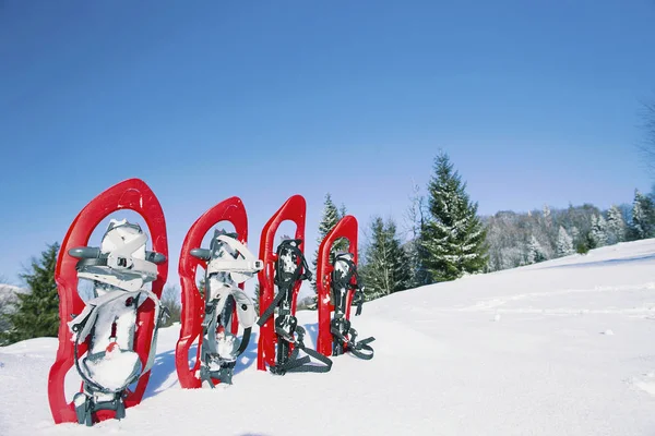 Karda dört kırmızı kar Ayakkabılarını çıkart. — Stok fotoğraf