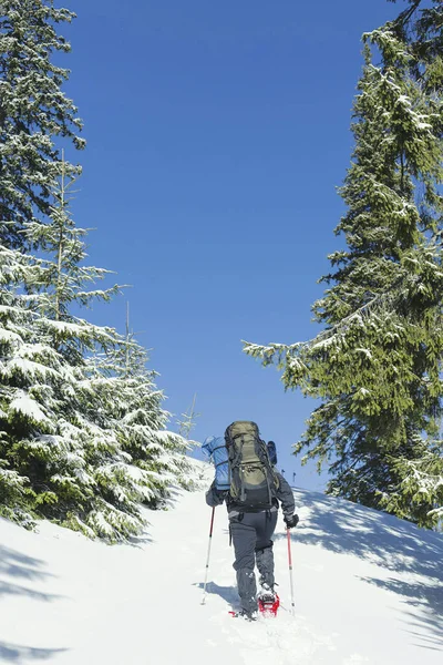 Senderismo de invierno en las montañas. Un hombre sube a la cima . — Foto de Stock