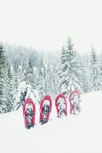 Senderismo de invierno en las montañas. raquetas de nieve de pie en la nieve ag —  Fotos de Stock