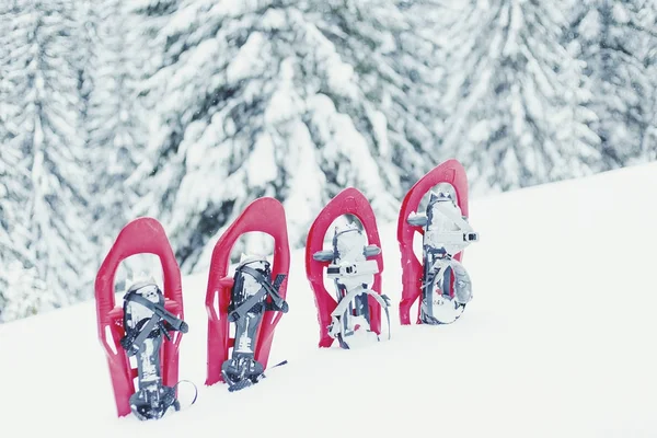 Winter wandelen in de bergen. Sneeuwschoenen staan in de sneeuw ag — Stockfoto