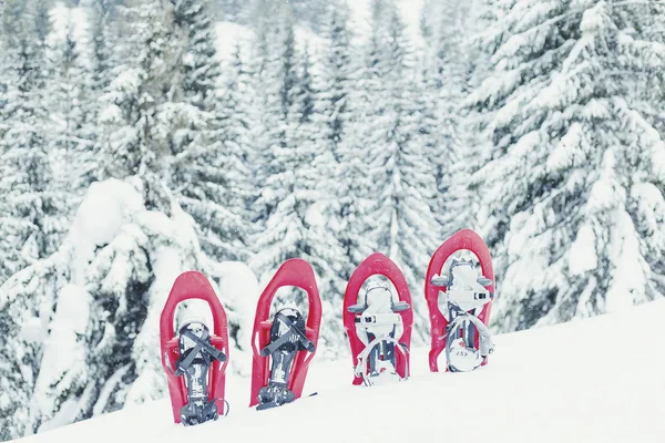 Senderismo de invierno en las montañas. raquetas de nieve de pie en la nieve ag —  Fotos de Stock