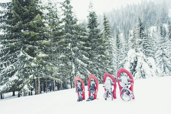 Winterwandern in den Bergen. Schneeschuhe stehen im Schnee — Stockfoto