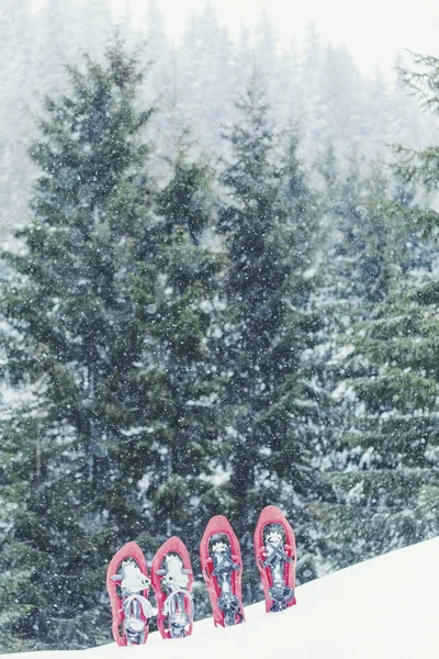 Perjalanan musim dingin di pegunungan. Sepatu salju berdiri di salju ag — Stok Foto
