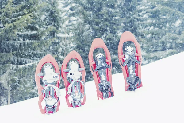 Senderismo de invierno en las montañas. raquetas de nieve de pie en la nieve ag —  Fotos de Stock