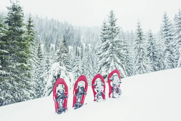 Senderismo de invierno en las montañas. raquetas de nieve de pie en la nieve ag —  Fotos de Stock