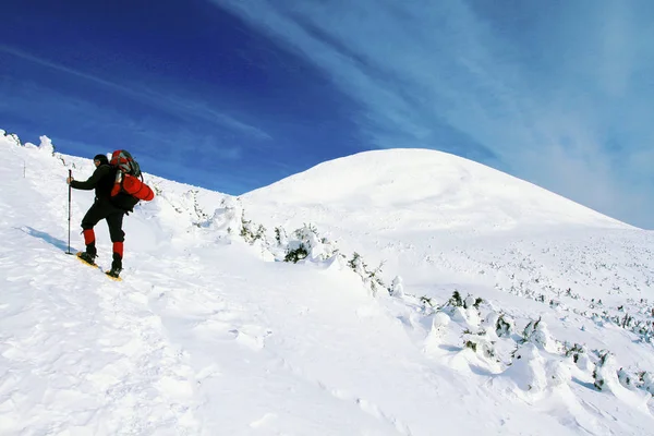 Caminhada de inverno nas montanhas com uma mochila e tenda . — Fotografia de Stock