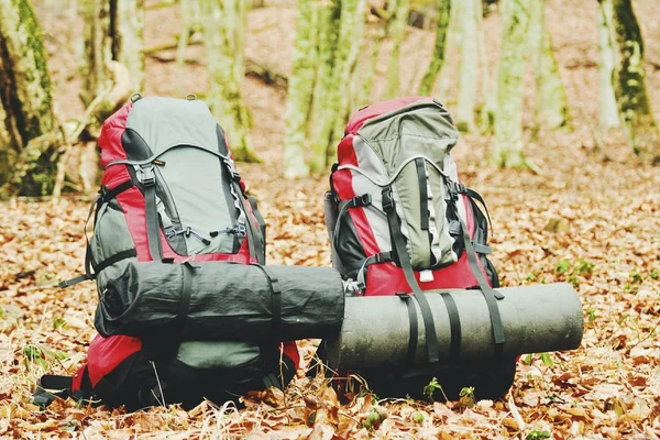 Autumn campaign in the mountains. The backpack is standing on a — Stock Photo, Image