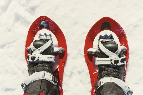 Caminata de invierno en las montañas con una mochila y tienda de campaña . — Foto de Stock