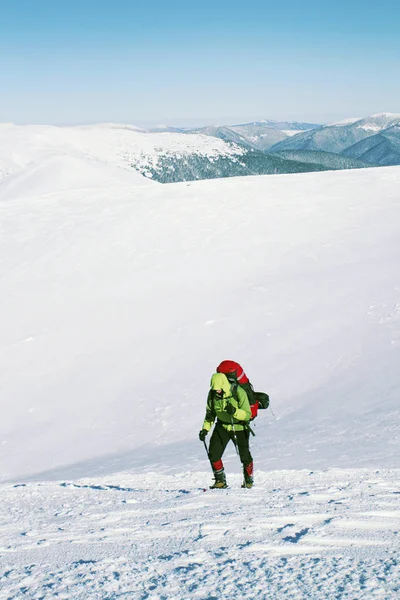 Caminata de invierno en las montañas con una mochila y tienda de campaña . —  Fotos de Stock