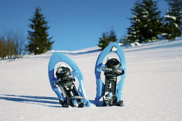 Caminhadas de inverno nas montanhas. Sapatilhas de neve na neve com bonito — Fotografia de Stock