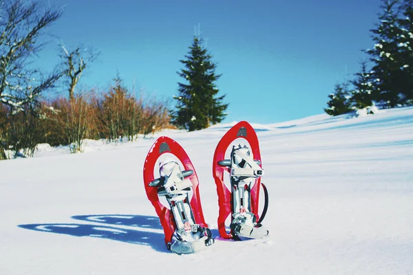 Turystyka zimowa w górach. Rakiety śnieżne stoją w śniegu ag — Zdjęcie stockowe