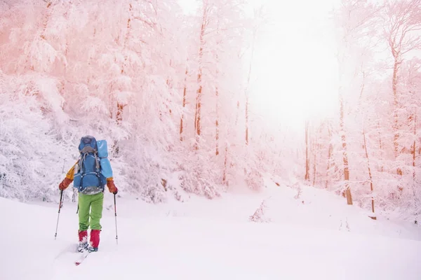 Caminata de invierno en las montañas con una mochila y tienda de campaña . — Foto de Stock