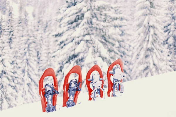 Winter trekking in the mountains. Snowshoes stand in the snow. — Stock Photo, Image