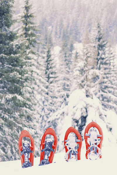 Senderismo de invierno en las montañas. raquetas de nieve de pie en la nieve . — Foto de Stock