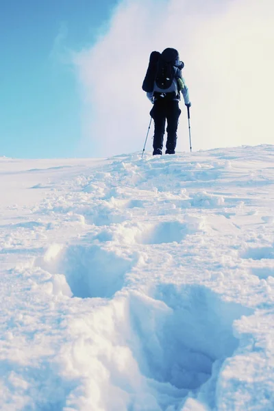 Bir sırt çantası ve çadır ile dağlarda kış yürüyüş. — Stok fotoğraf