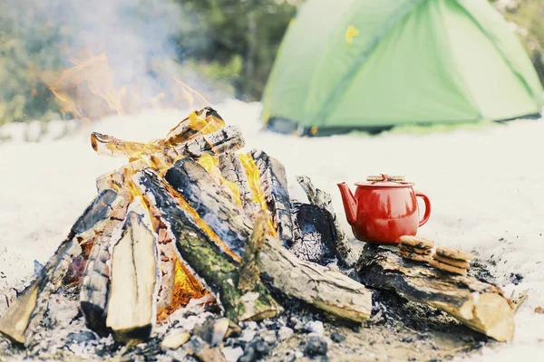 Friends Camping Eating Food Concept — Stock Photo, Image