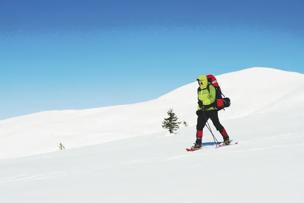 Bir sırt çantası ve çadır ile dağlarda kış yürüyüş. — Stok fotoğraf